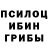 Галлюциногенные грибы мицелий Jed Merrill