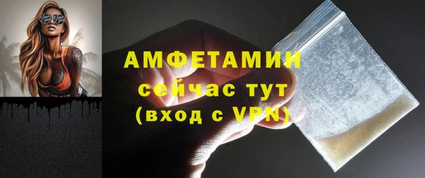 гидра Коряжма