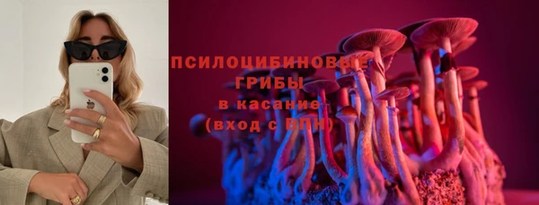 гидра Коряжма