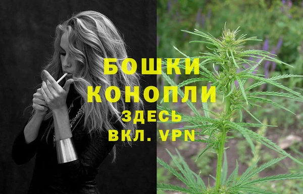 мет Корсаков
