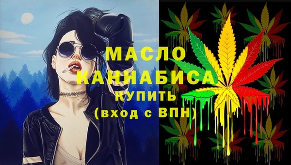 гидра Коряжма