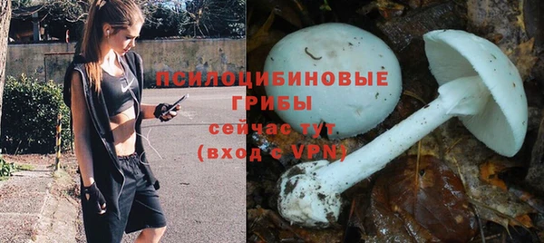 мет Корсаков