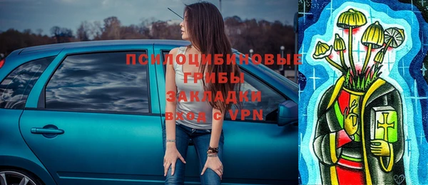 гидра Коряжма
