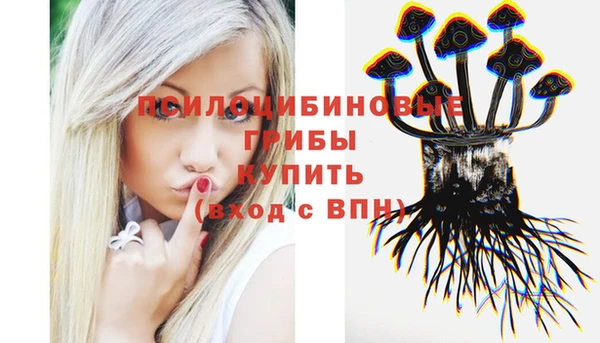 мет Корсаков