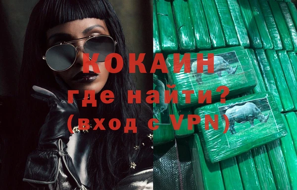гидра Коряжма